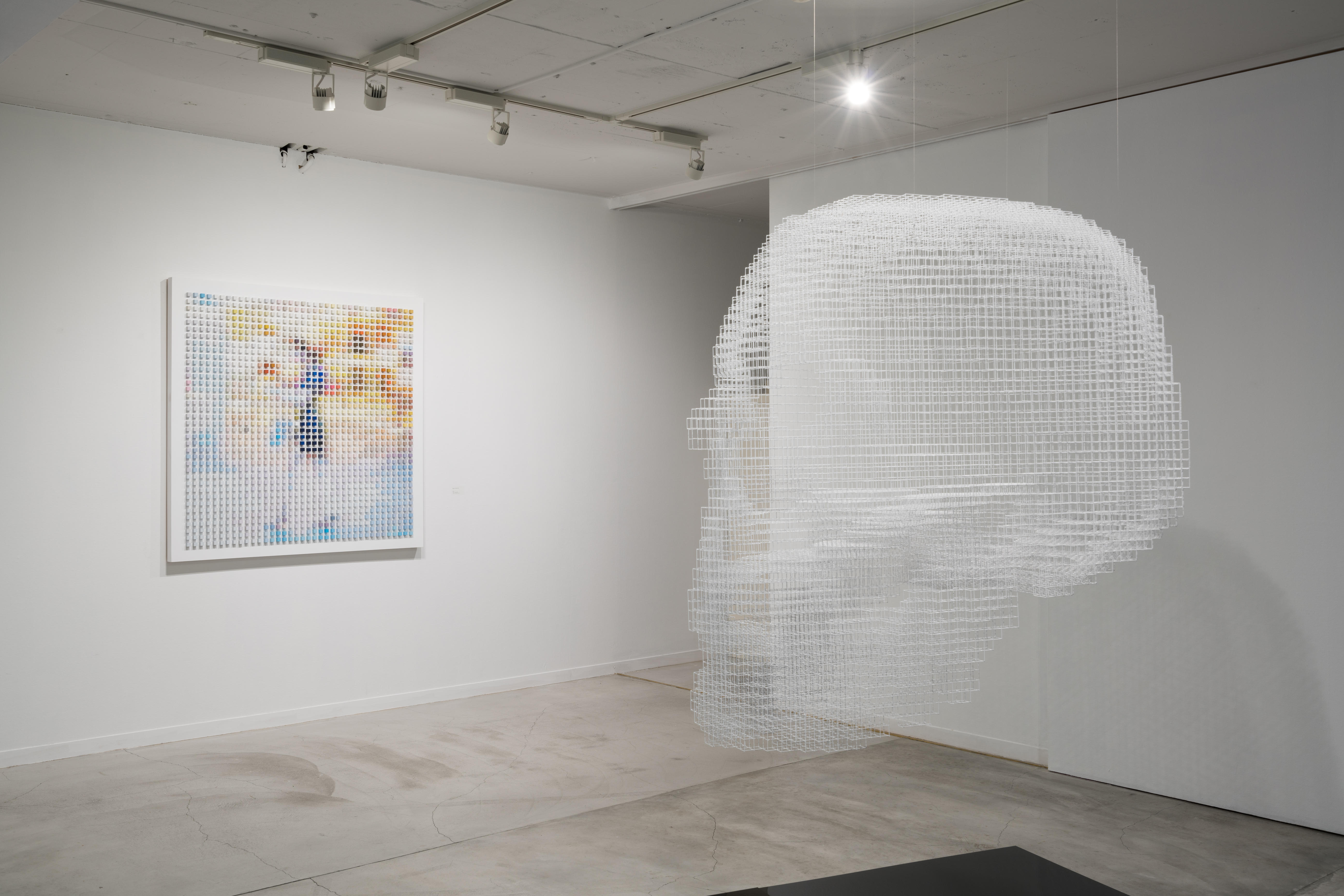 The installation view of solo show: Dead Pan, in 20156