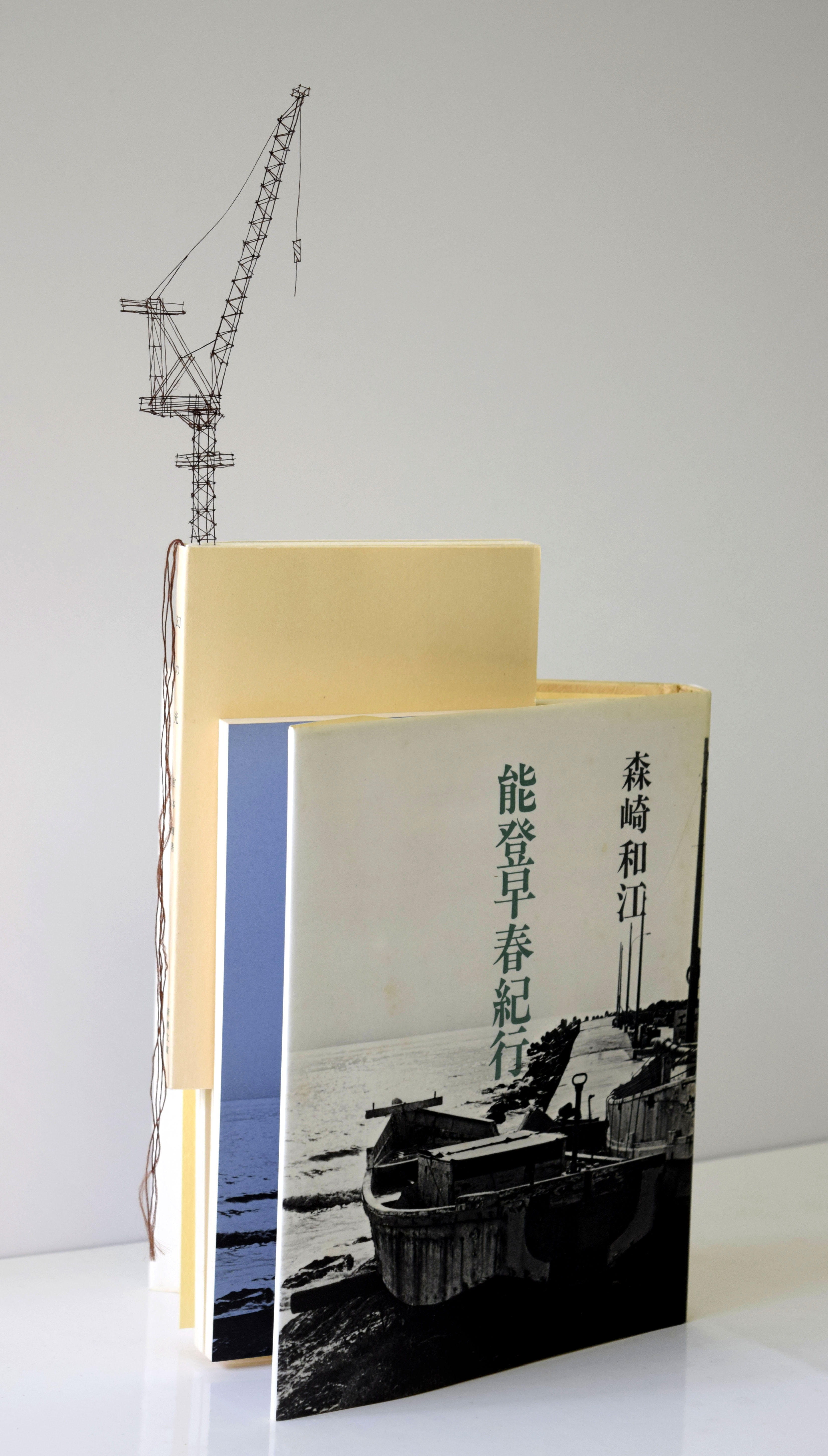 Pick up art works of Takahiro IWASAKI  :   Special exhibition of Oku-Noto Triennale @ Daikanyama Tsutaya Books