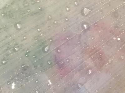 竹中美幸　新作を展示中　―カメラのフィルムと樹脂と光