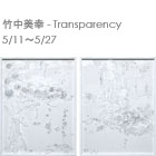 Miyuki Takenaka: Transparency